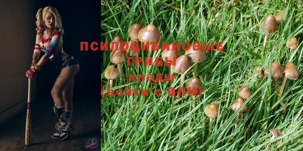 прущий лед Балахна