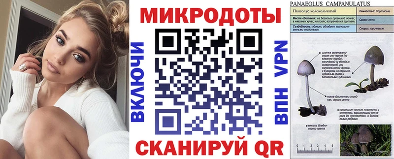 Галлюциногенные грибы GOLDEN TEACHER  Нижний Ломов 